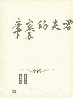 唐家的夫君们帘下衾