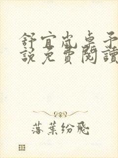 舒宜岚卓予淮小说免费阅读