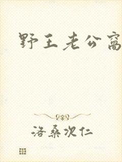野王老公窝