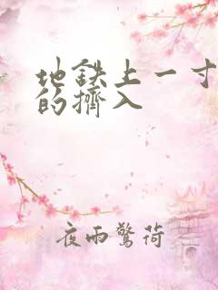 地铁上一寸一寸的挤入