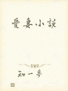 爱妻小说