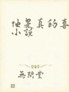 他是真的喜欢你小说