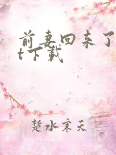 前妻回来了txt下载