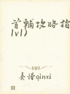 首辅攻略指南(1v1)