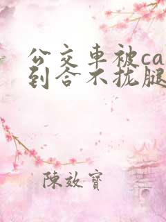 公交车被cao到合不拢腿app