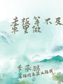 老板等不及了在车里做