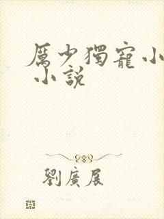 厉少独宠小娇妻 小说