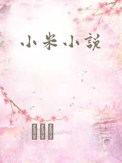 小米小说