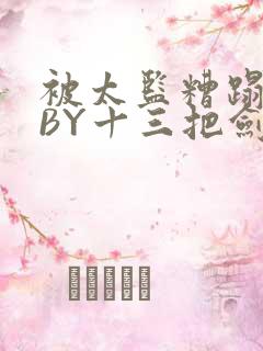 被太监糟蹋之后BY十三把剑
