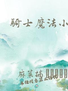 骑士魔法小说