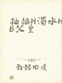 抽插H浊水H嫩B父皇