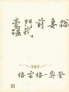 豪门前妻总裁别碰我