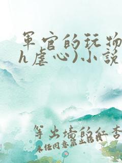 军官的玩物(高h虐心)小说