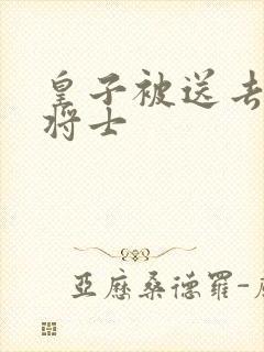 皇子被送去犒劳将士