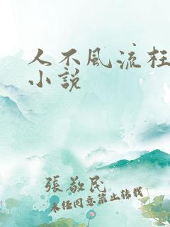 人不风流枉少年小说