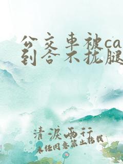 公交车被cao到合不拢腿视频