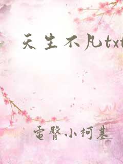 天生不凡txt
