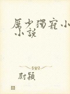 厉少独宠小娇妻 小说