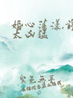 婚心荡漾,前夫太凶猛