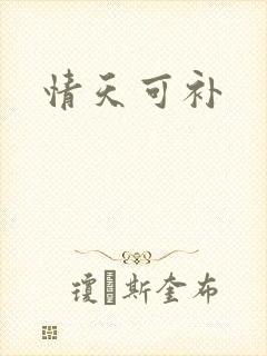 情天可补