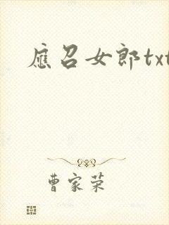 应召女郎txt