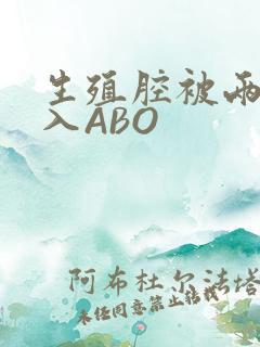 生殖腔被两根进入ABO