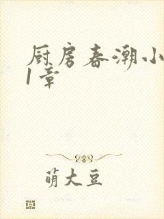 厨房春潮小说第1章