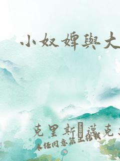 小奴婢与大少爷