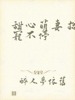 甜心萌妻 总裁宠不停