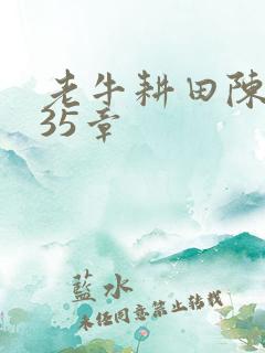 老牛耕田陈雪435章