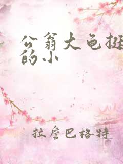 公翁大龟挺进我的小