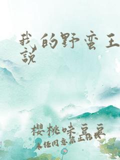 我的野蛮王妃小说