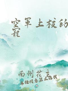 空军上校的邪魅宠