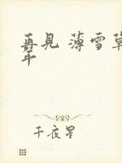 再见 薄雪草少年