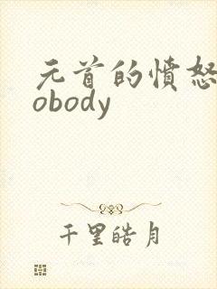 元首的愤怒之nobody