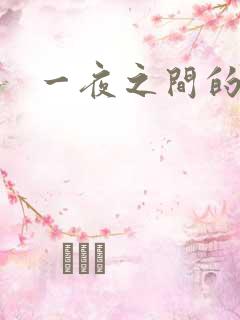 一夜之间的天才