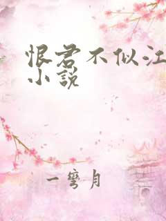 恨君不似江楼月小说