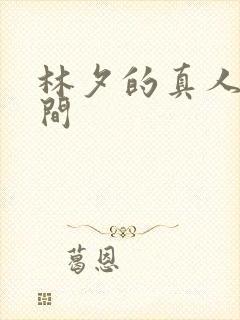 林夕的真人娃娃间