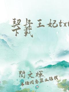 契丹王妃txt下载