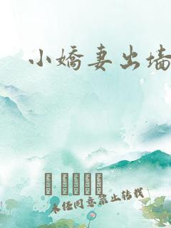 小娇妻出墙记