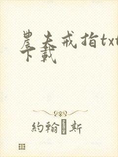 农夫戒指txt下载