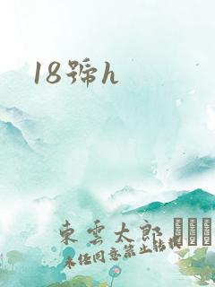 18号h
