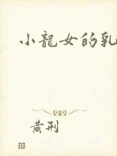 小龙女的乳头