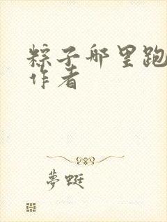 粽子哪里跑小说作者