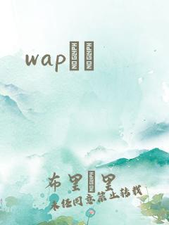 wapС˵
