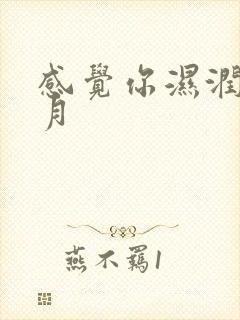 感觉你湿润我四月