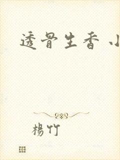 透骨生香 小说