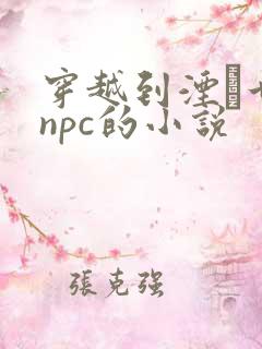 穿越到湮婸世界npc的小说