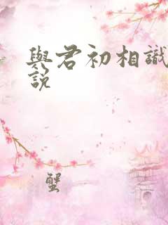 与君初相识 小说