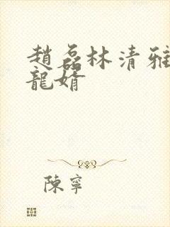 赵磊林清雅上门龙婿